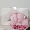 shosho55_