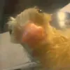 evellyn_souza20
