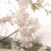 yumiriiiq9il