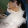 ijul_0604