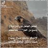 ahmad_12226