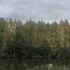 vasek_27