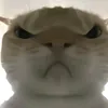 aottinhquabot