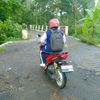bintangjayabuah