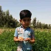 user9397124345460