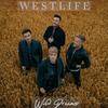 Westlife Fans