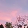 thinhnguye_3
