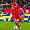 fc_bayern_fan_17