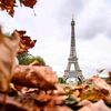 paris777777