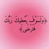 ieman.sndi25