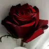 user816602670650