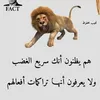 jihan.bouzajla