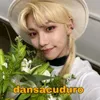 .duckiris