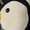 ayapalay