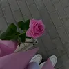 sh.alhaji24