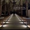 محمد '