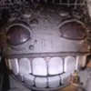 nikitorus