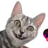 l_klubnika