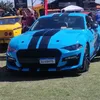 matheus33527