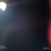 alis_231