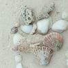 lvbeach2