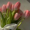 salwaa_1227_rz