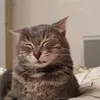 smototo_