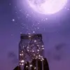 unknown_cherry04