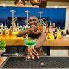 tooshortbartender
