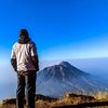 saha_032353