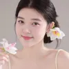 nn_ahn.8
