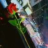 iittz_lana