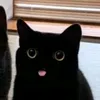 lordjoshio