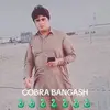 taibgul02