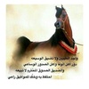 badr_7776