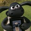 sondesheepp