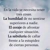gabrieltm11_11