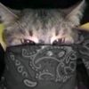 fredy3_xd