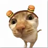 nttt16.08_