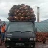 gudangteunom
