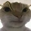 minh_frl_acc2