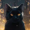 janja611