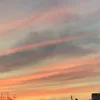 nr_ny14