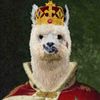 thealpacaking
