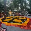 franciska433