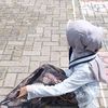 devita.warsindi