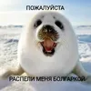 ydaliteetotakk