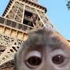 micr0b_n1