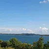 edderaa