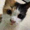 user18181818181181